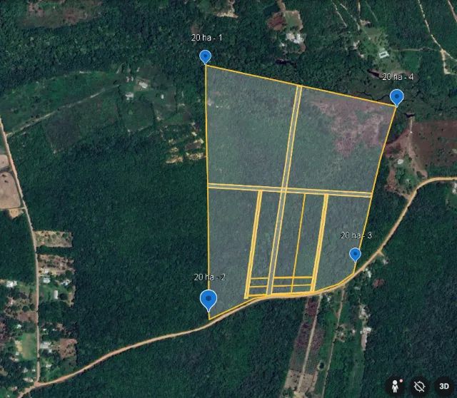 Área 20 ha - Ramal do Janauari - ideal para loteamento de chácaras - Até 50 ha - Foto 2