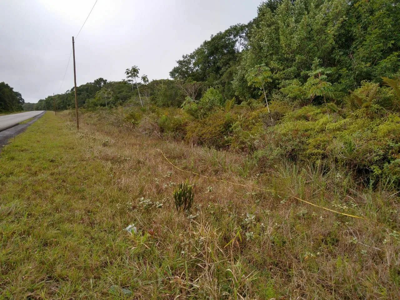 Terreno cidade de cananeia  - Foto 4