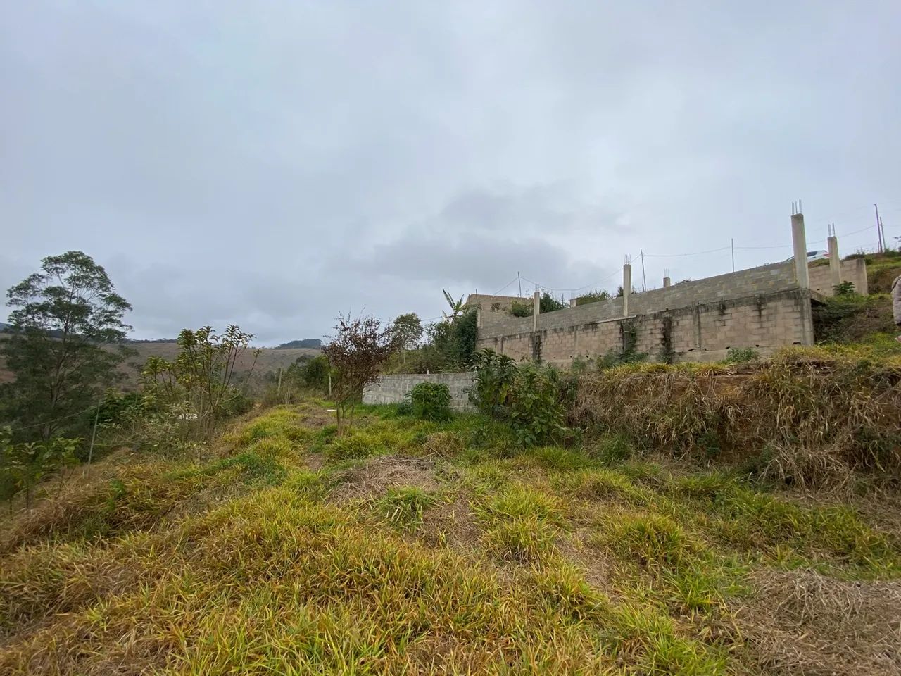 Granja  - Foto 3