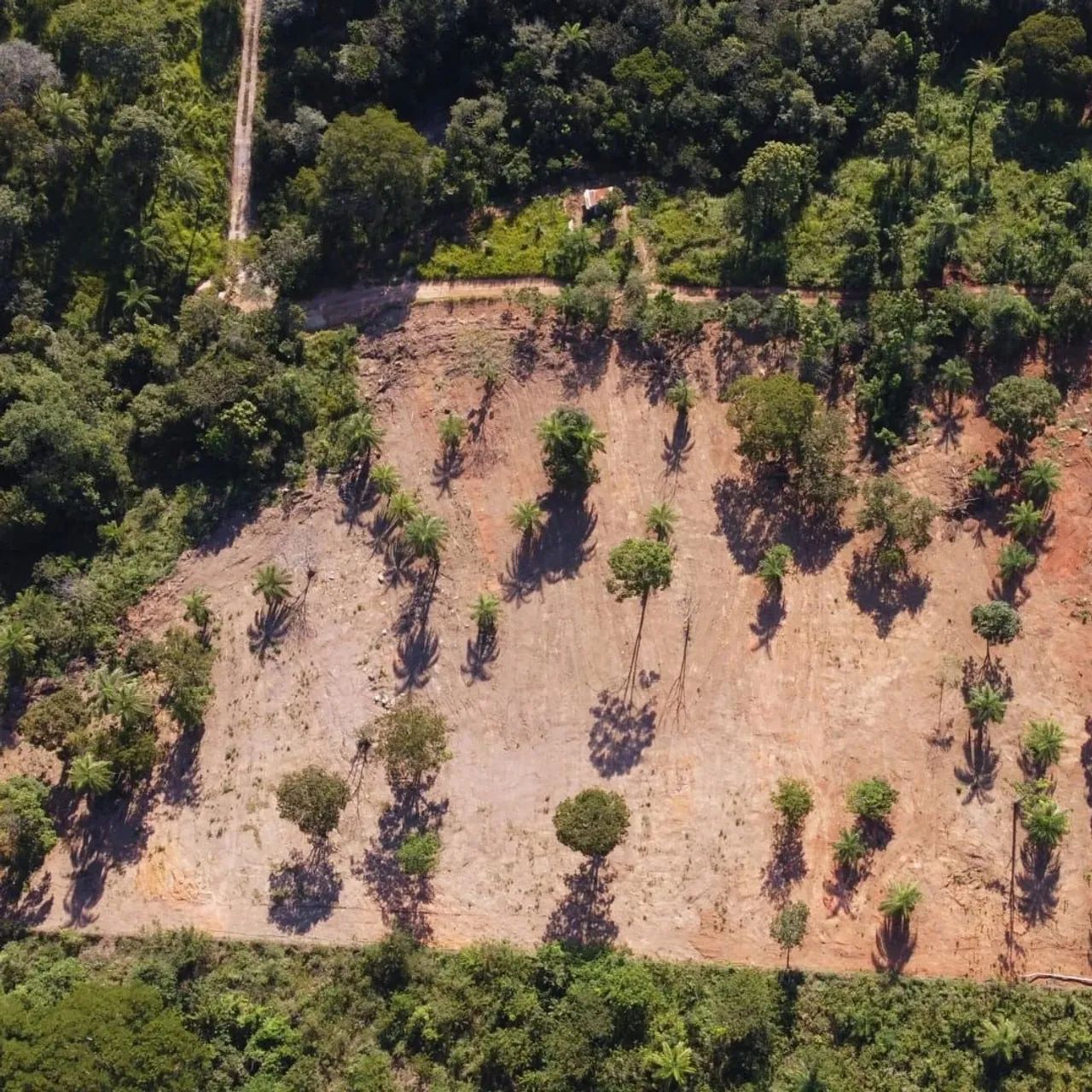 Terreno nos Queiroz mateus leme  - Foto 4