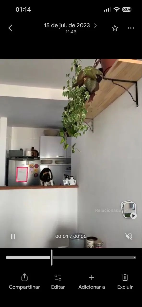 Shelf with French brackets