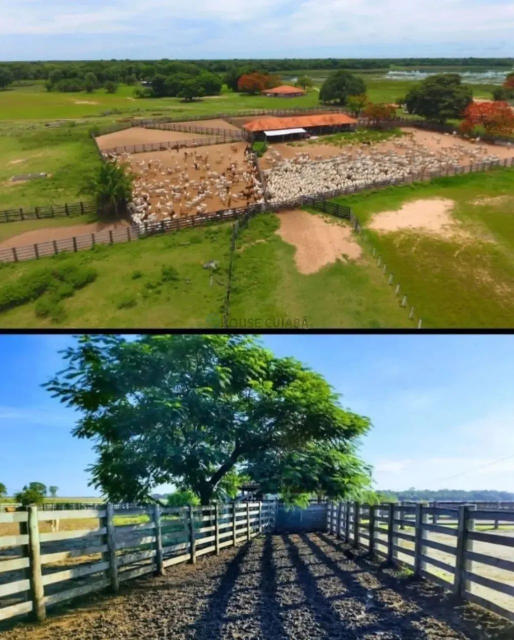 FAZENDA À VENDA  AQUIDAUANA / MS - Foto 4