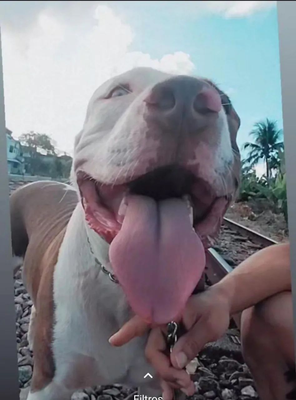 Em doação 