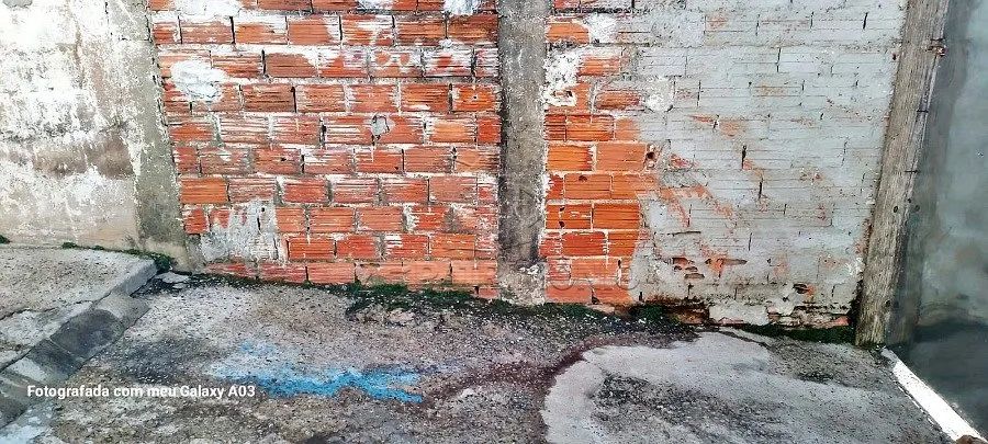 TERRENO,0 Dormitorio(s) bairro Laranjeiras - Foto 4