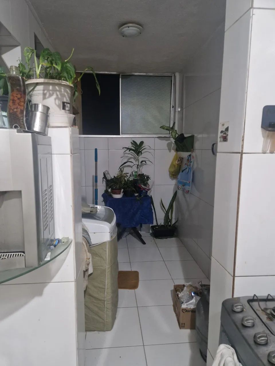 Temporada Carnaval - Vista para o mar  - Foto 8