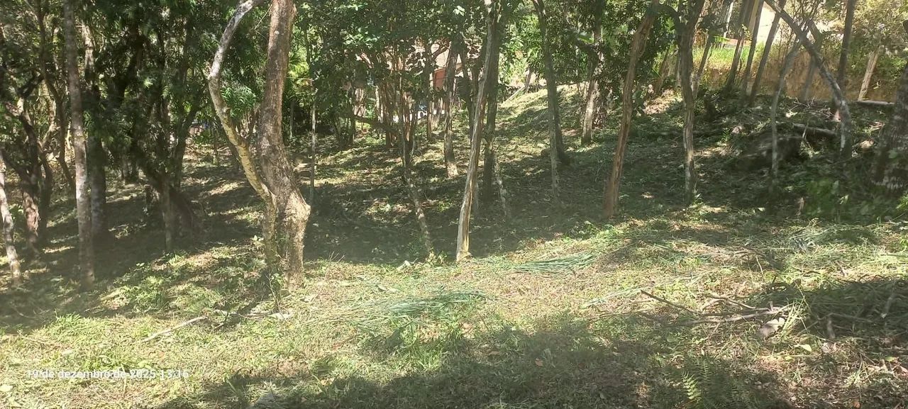 Terreno na Vargem Grande  - Foto 2