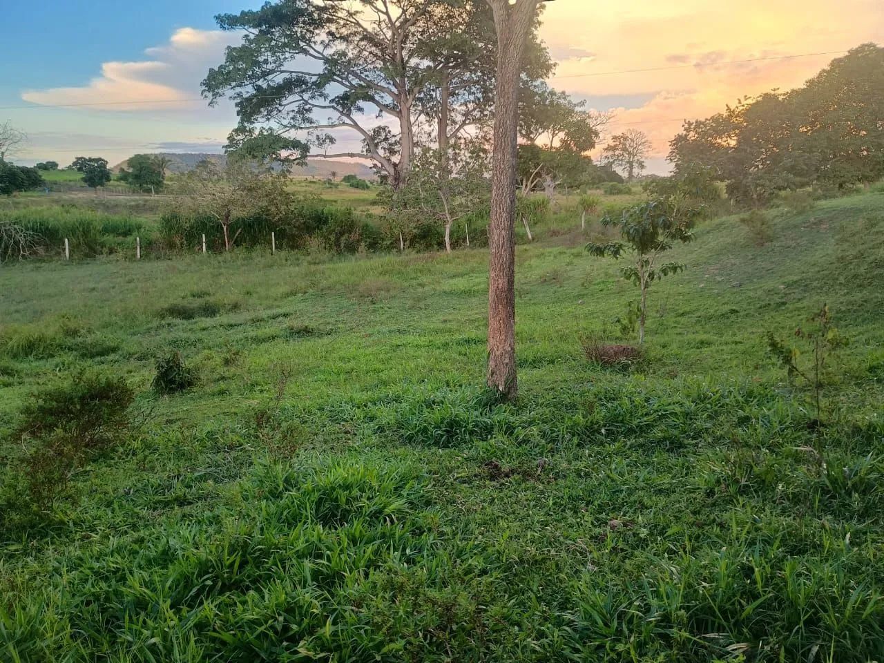 VENDE-SE LOTE - Foto 5