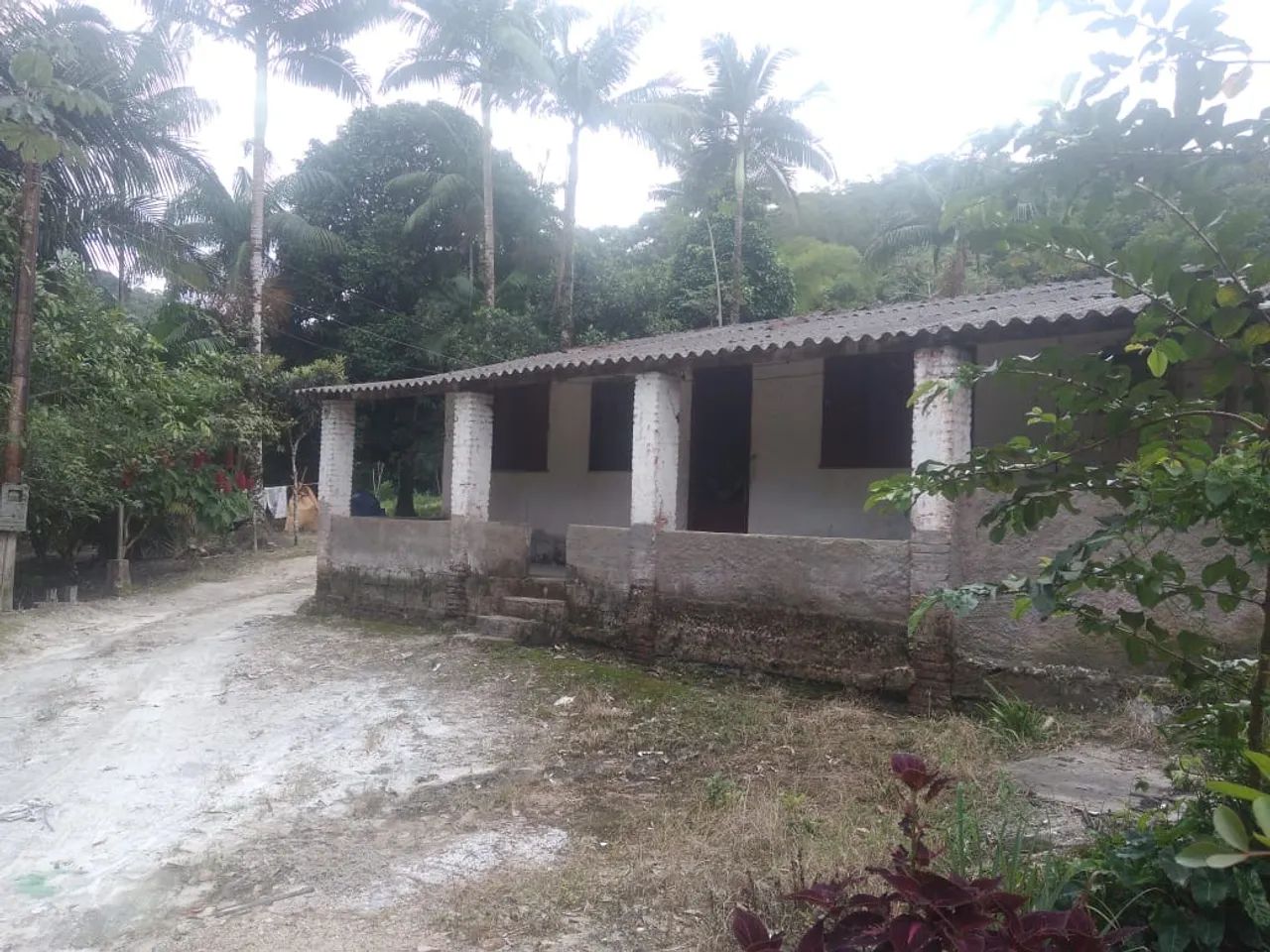 Vendo Sítio com 12 alqueires em Sete Barras SP - Foto 4