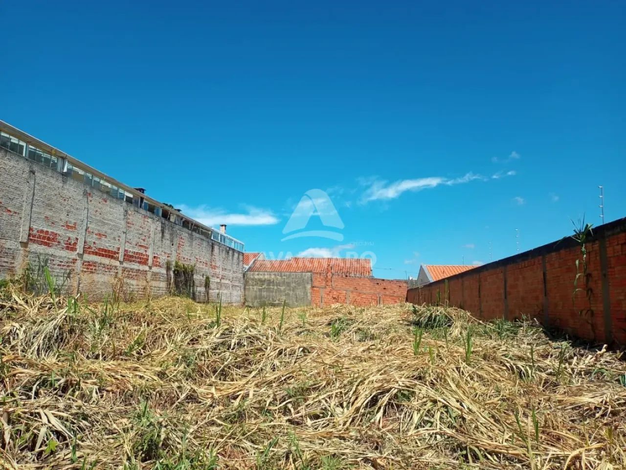 lote de terreno Vila Estrela - Foto 4