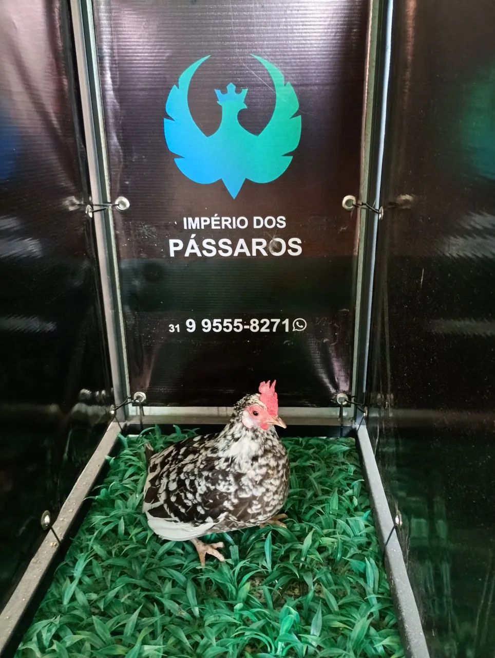 Mini Garnize  - Foto 2
