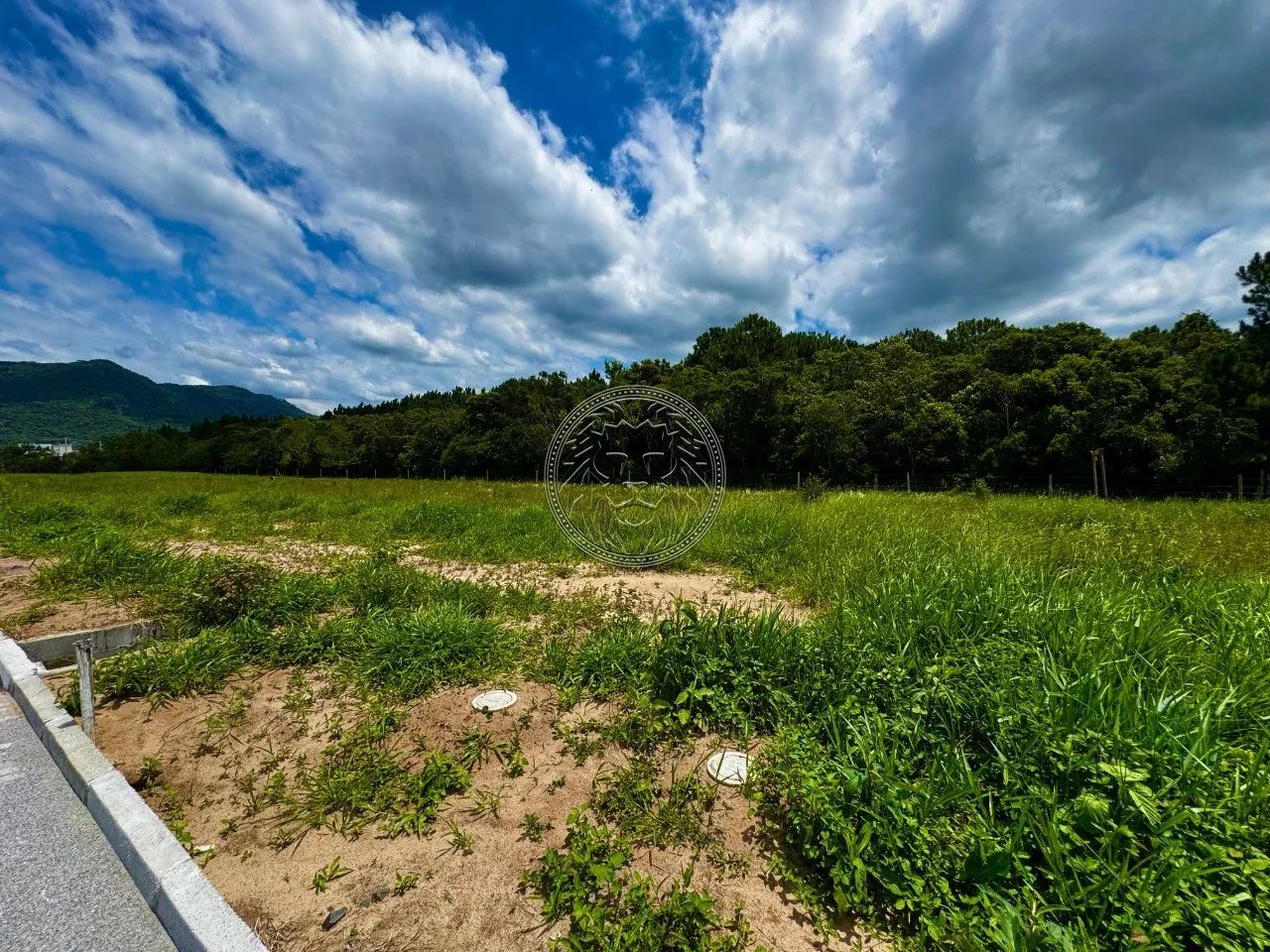 Terreno à Venda no Ribeirão da Ilha - 442,79 m² - Foto 4