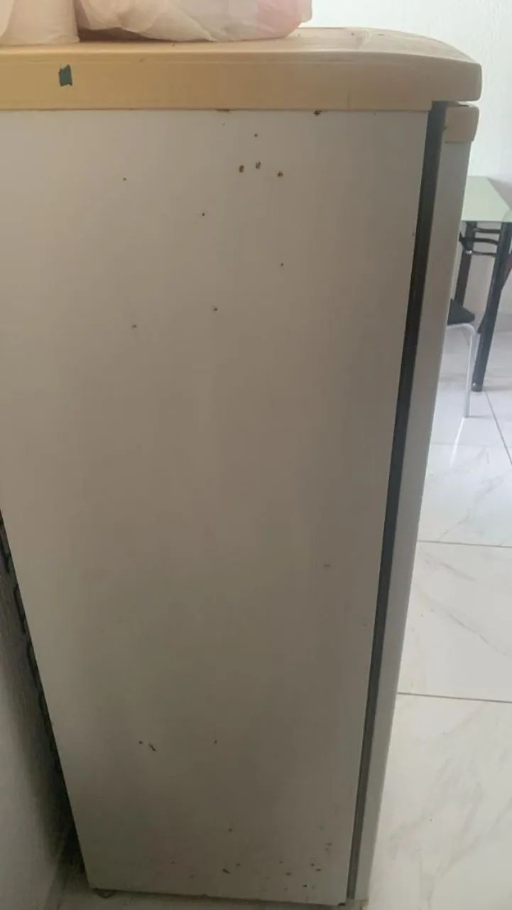 Geladeira  - Foto 5
