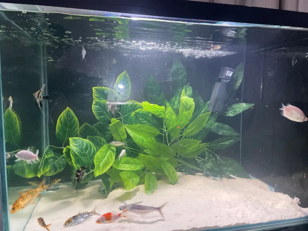 Aquário 360L - Foto 4