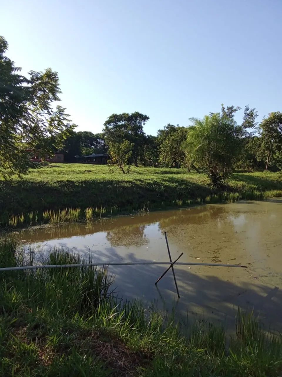  aluga chacara com 9 tanques pra criação de peixes - Foto 3
