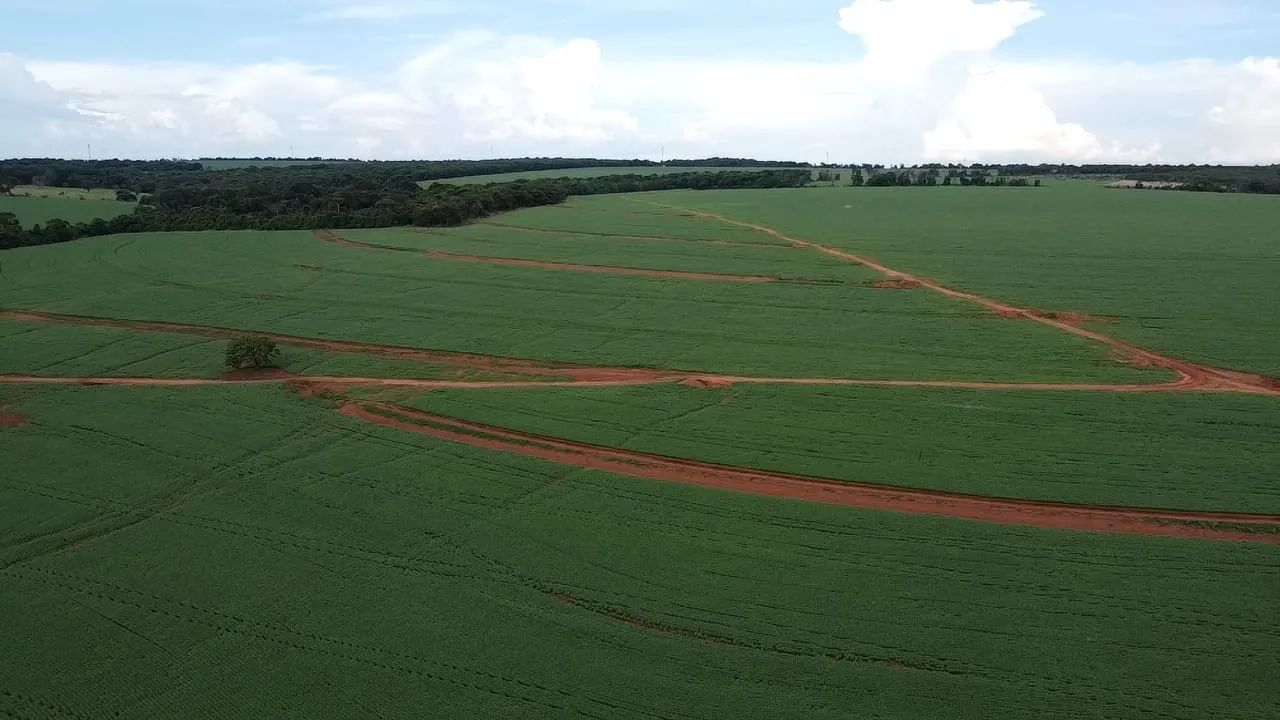 Fazenda de dupla aptidão