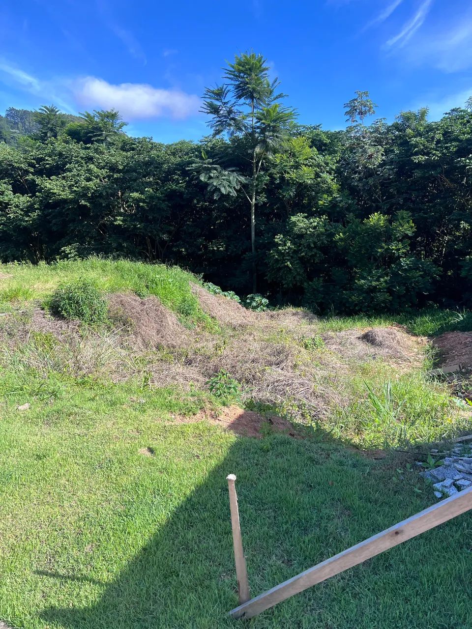 Lote Venda Nova do Imigrante  - Foto 4