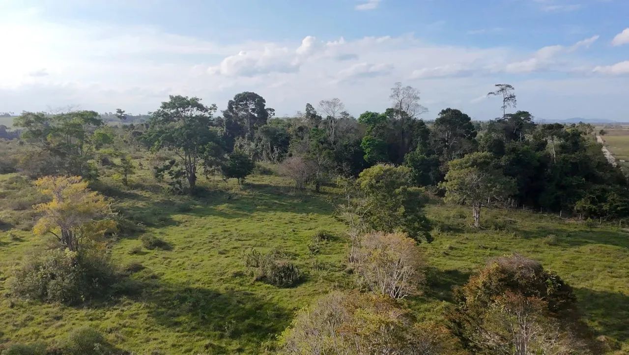 Excelente terreno sentido Colonial em Eunápolis - Foto 5