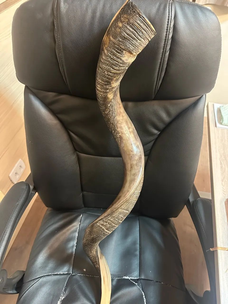 Shofar