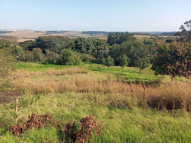 Chácara 4.000m2 sarandi  - Foto 3