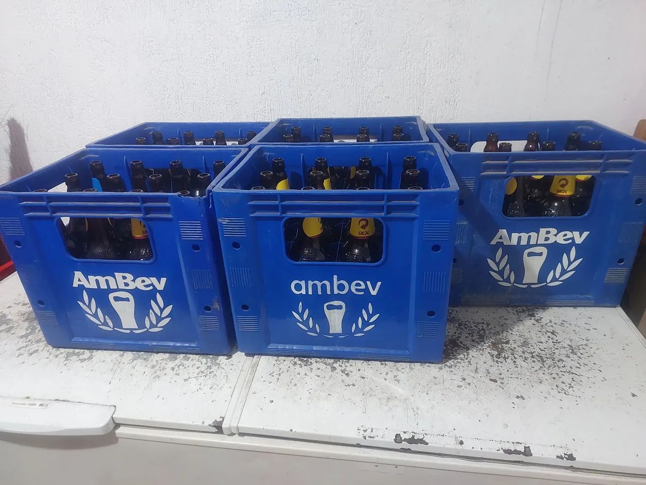 VENDE-SE 05 GRADES DE SKOL LITRAO oo - Foto 2