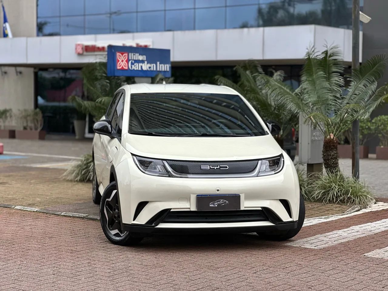 BYD Dolphin EV (Elétrico) 2024 - Foto 3