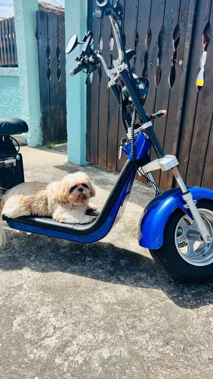 Scooter elétrica  - Foto 2
