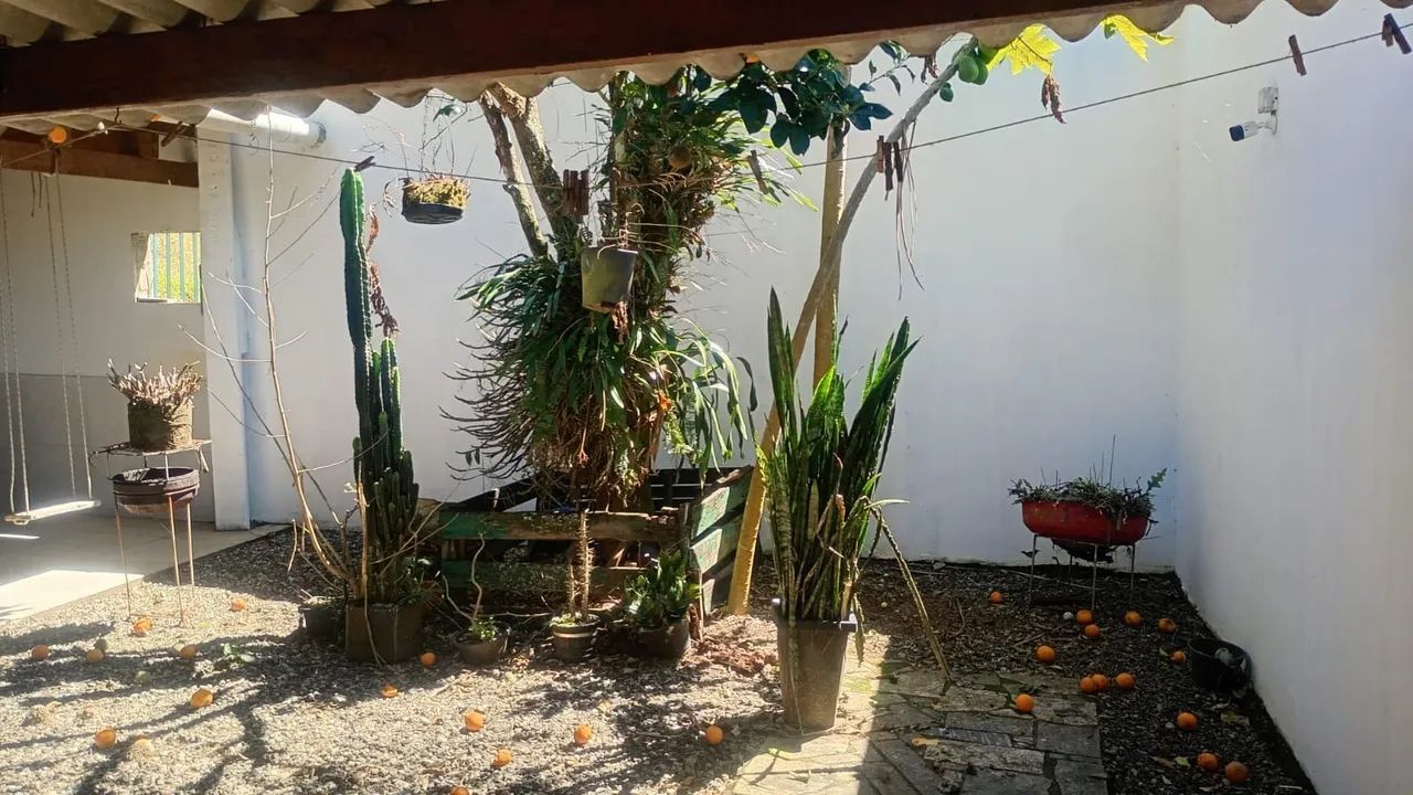 Vendo uma  casa no interior capixaba! - Foto 3