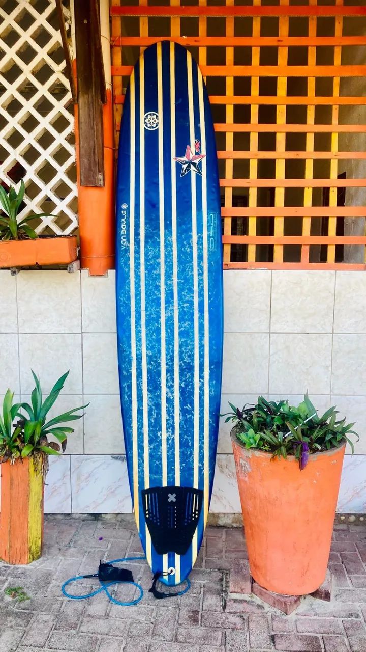 Prancha Longboard 