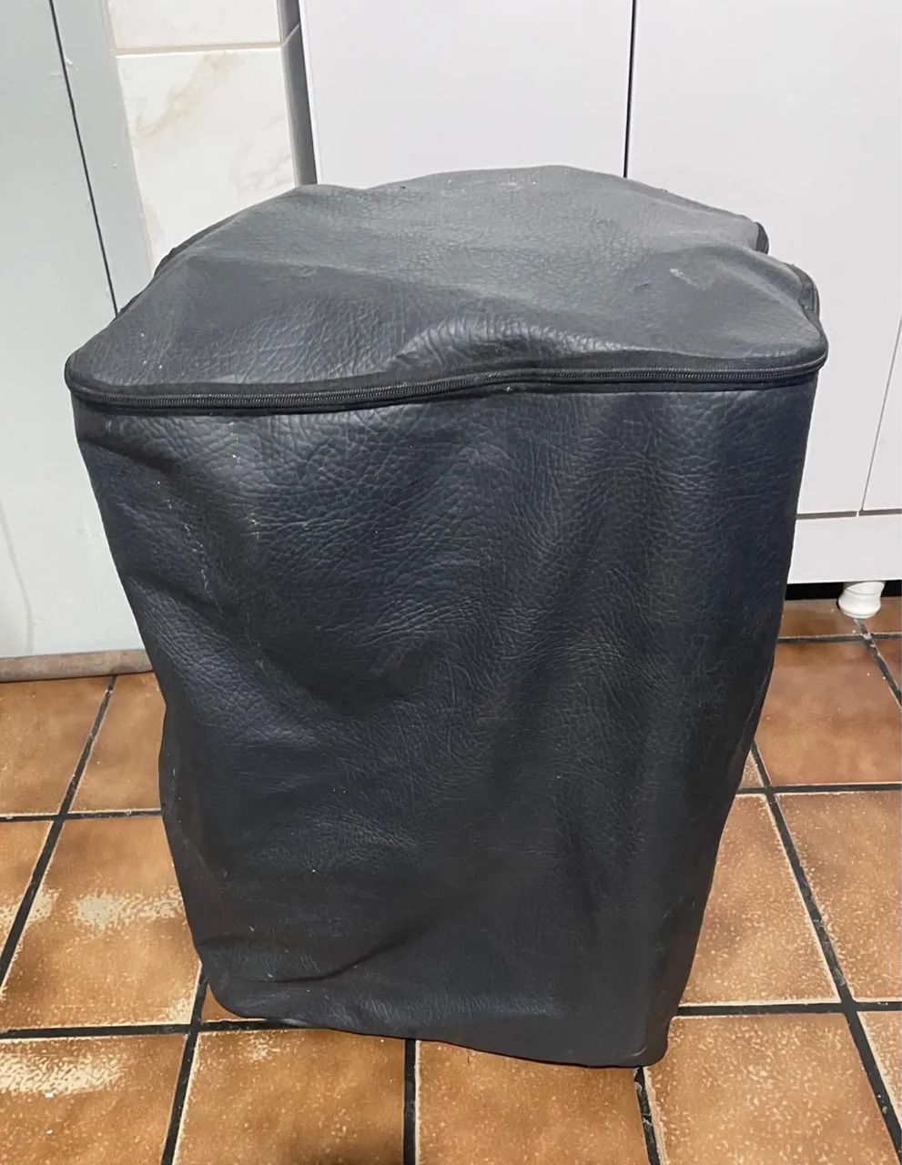 Caixa Staner SR315A  Com capa Alto falante 15 polegadas