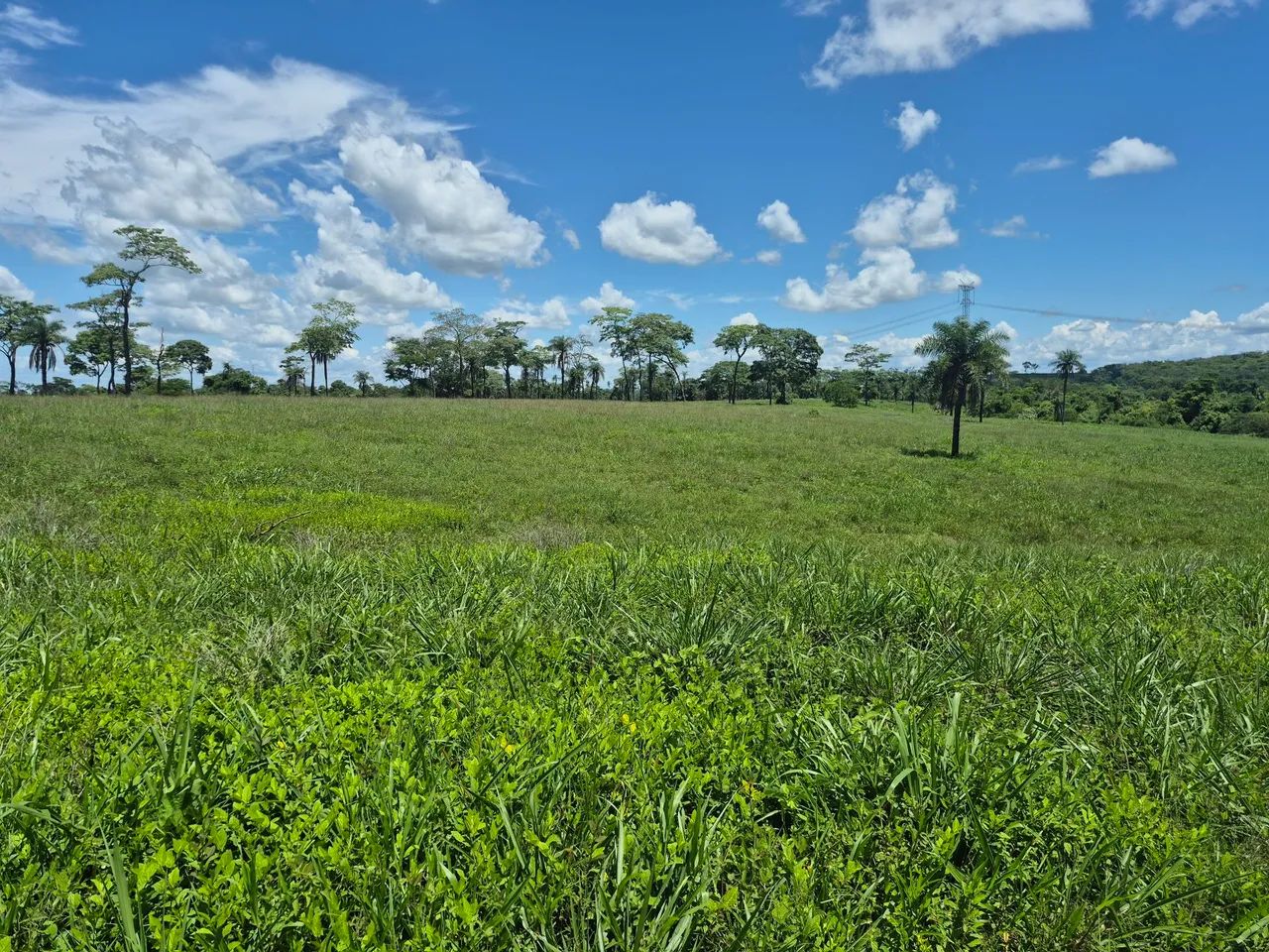  Margem Belém-Brasília! - Foto 4