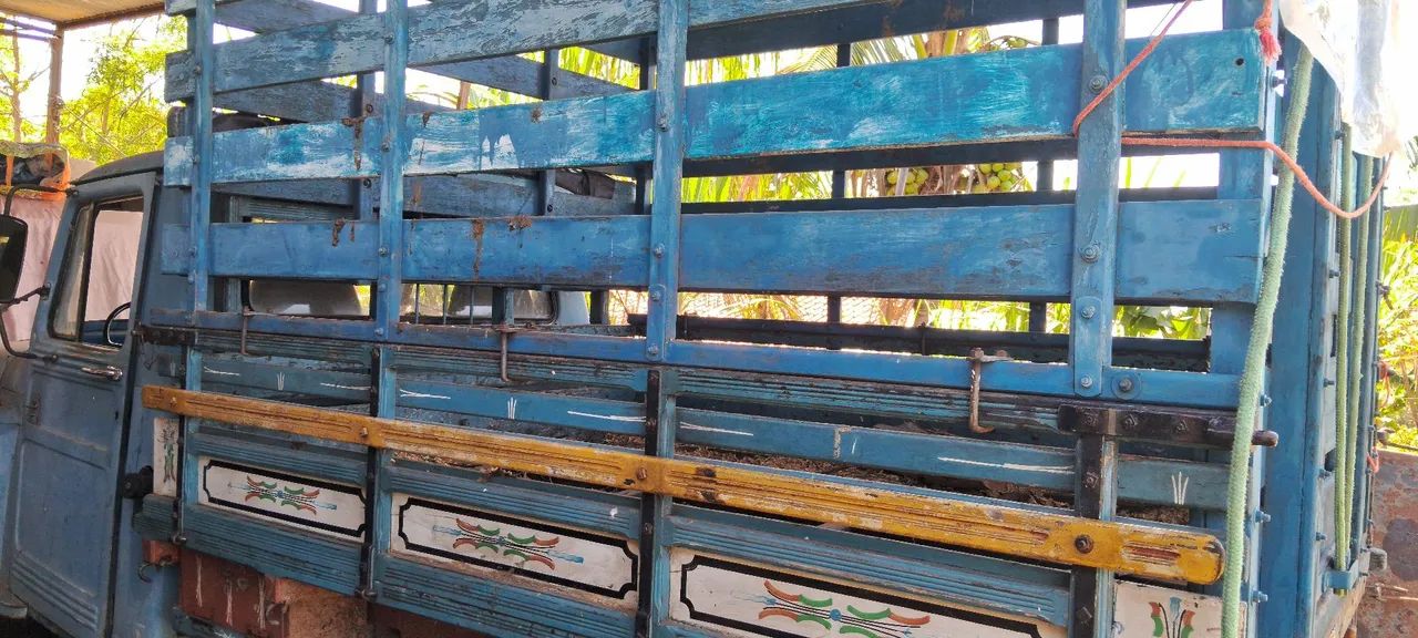 Trasporte de animais - Foto 2