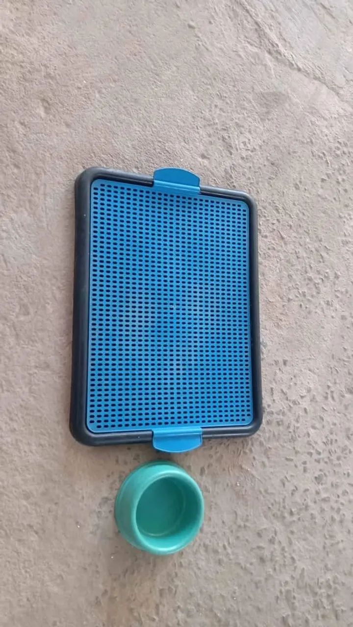SANITARIO ou  TAPETE HIGIENICO PARA CACHORRO + VASILHA D?AGUA TAMANHO 56x42cm R$ 10,00