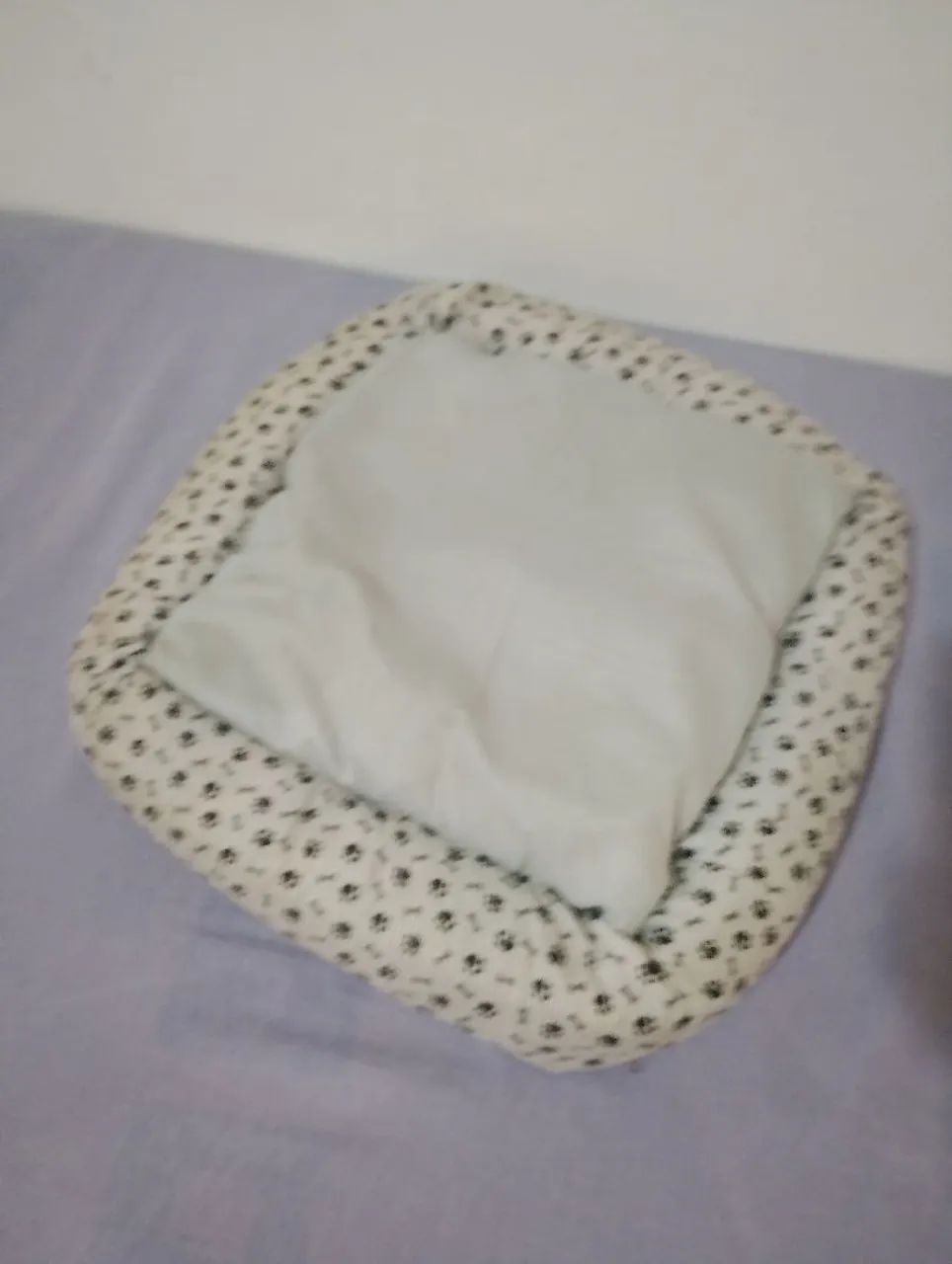 Caminha pet - Foto 3