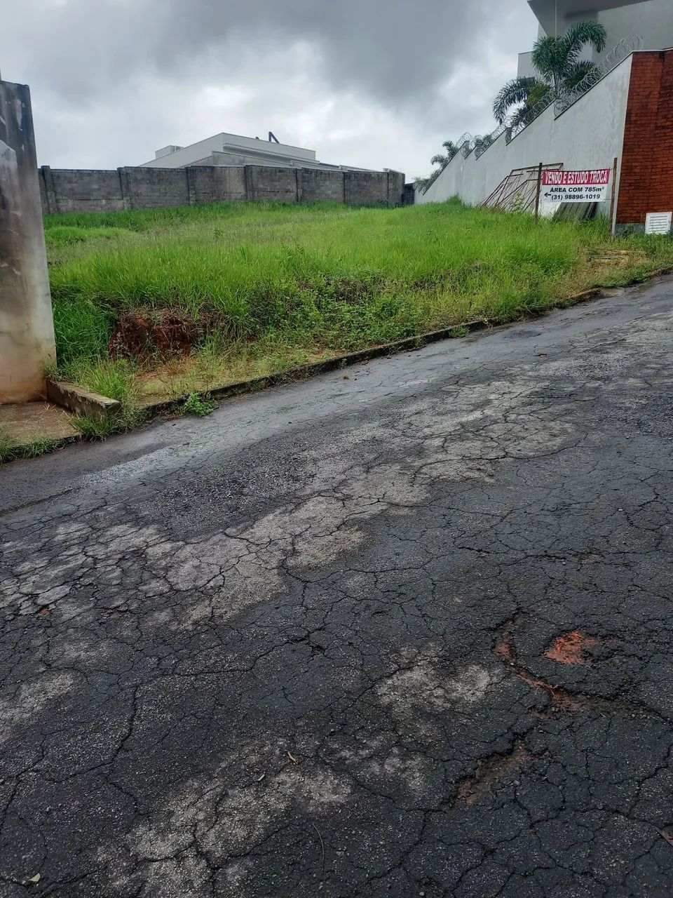 Foto - Conselheiro Lafaiete - Granja das Hortênsias