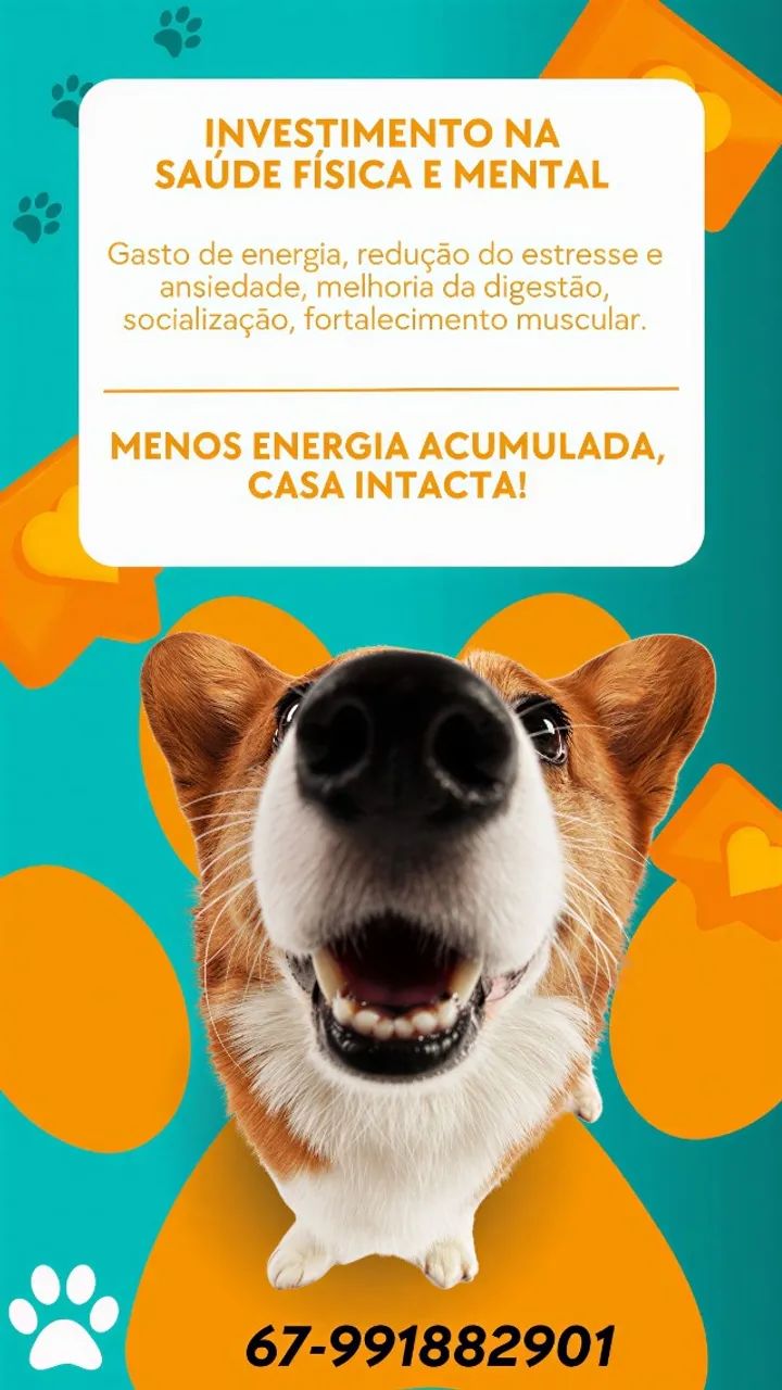 Dog Walker para seu Pet ! - Foto 2