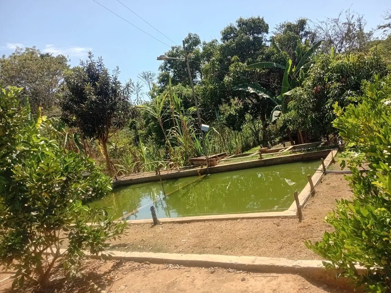 Chacara em corrego das pedras - Foto 5