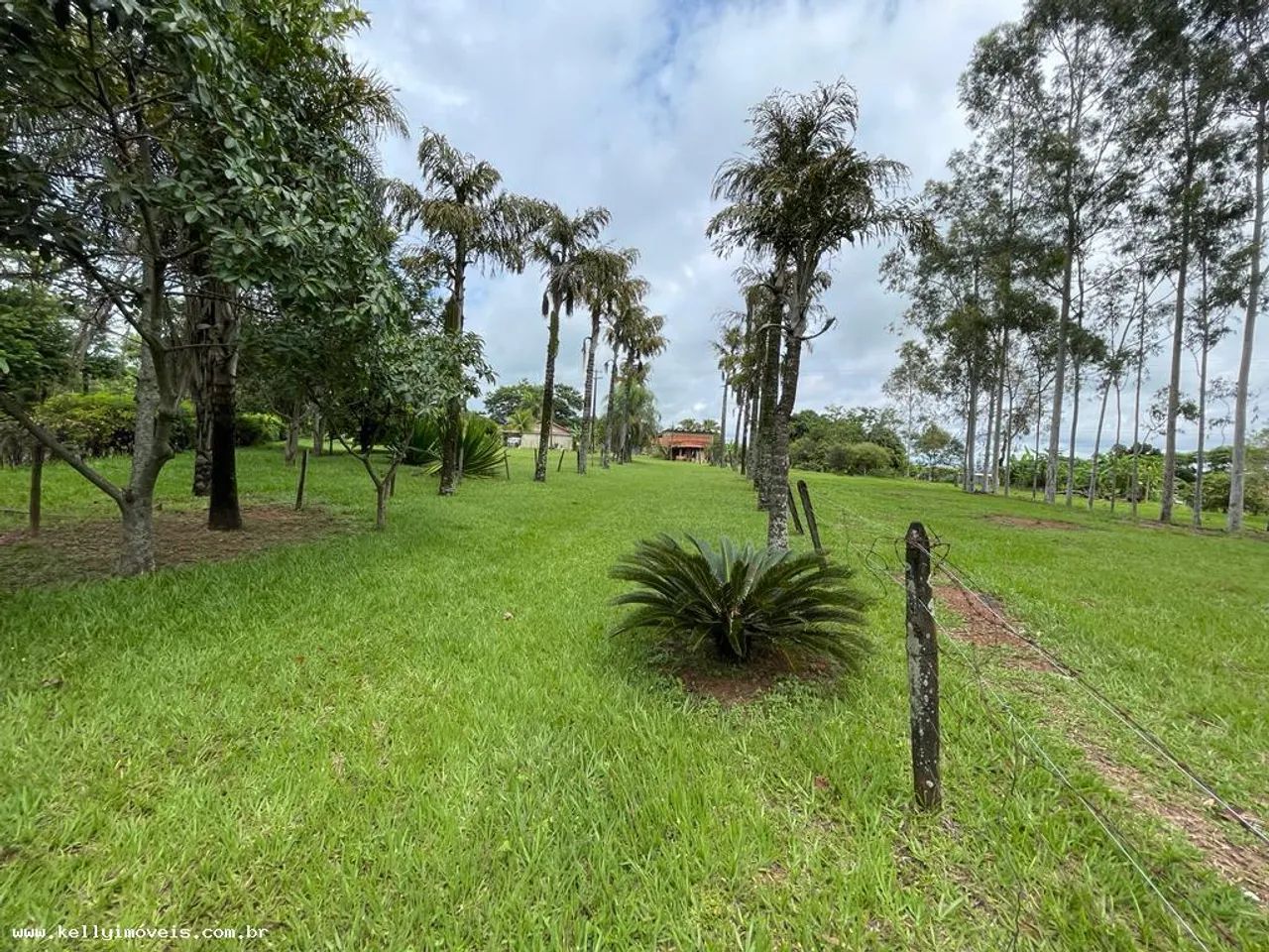 Chácara para Venda em Presidente Prudente / SP no bairro Área Rural - Foto 9