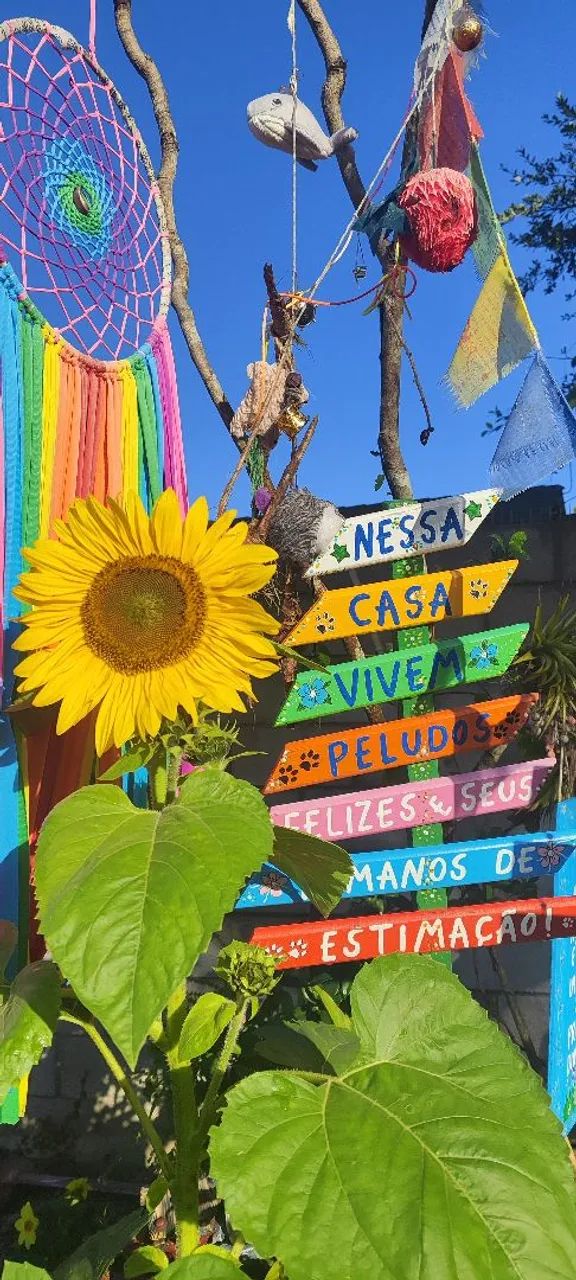 Celeste menina busca namorado persa - Foto 3