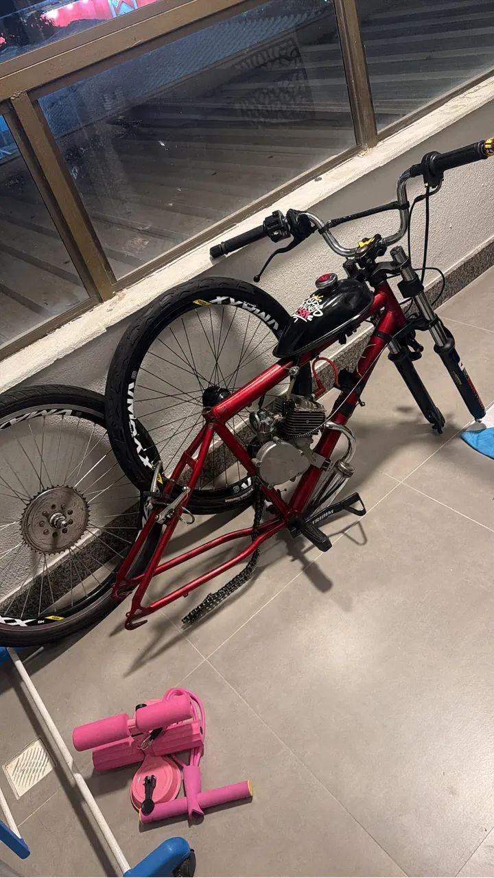 Bicicleta motorizada 100cc