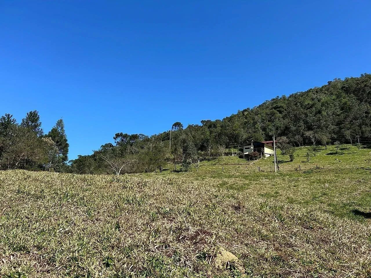 Sítio de 3 hectares em Anitápolis com escritura - Foto 3