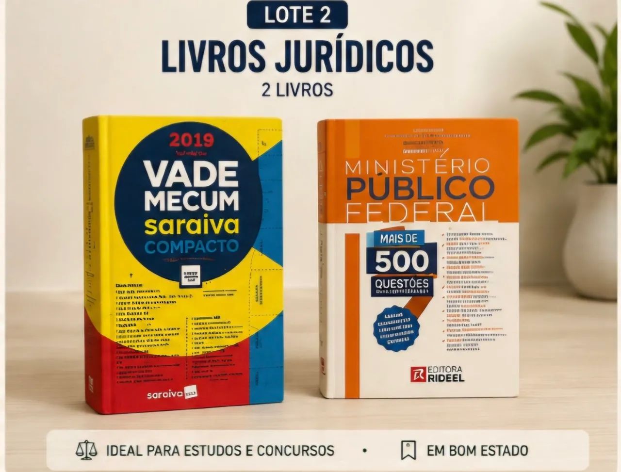 Lote 2 livros