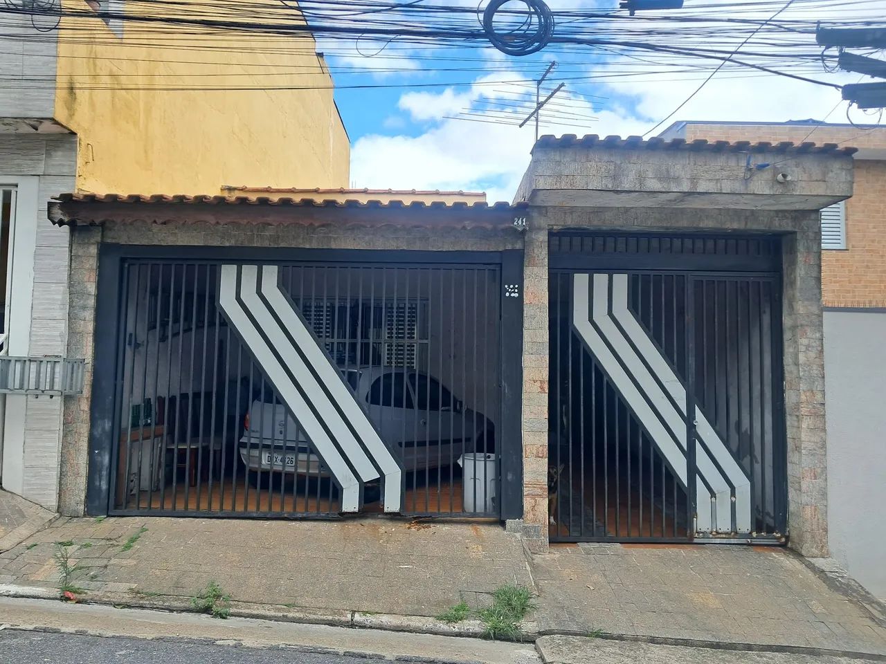 Foto - São Paulo - Parque Luis Mucciolo