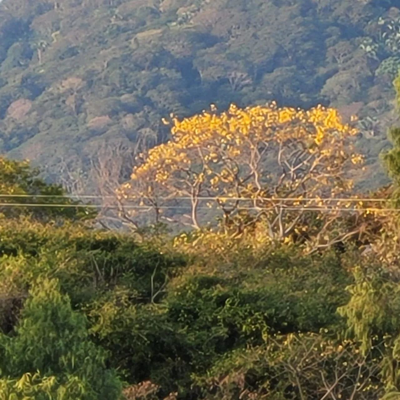 Terreno em Maranguape - Foto 5