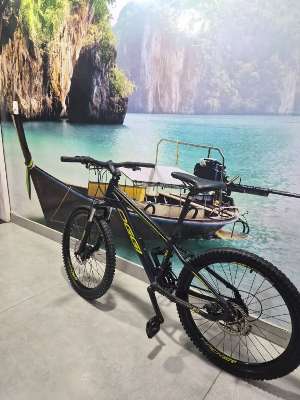bicicleta