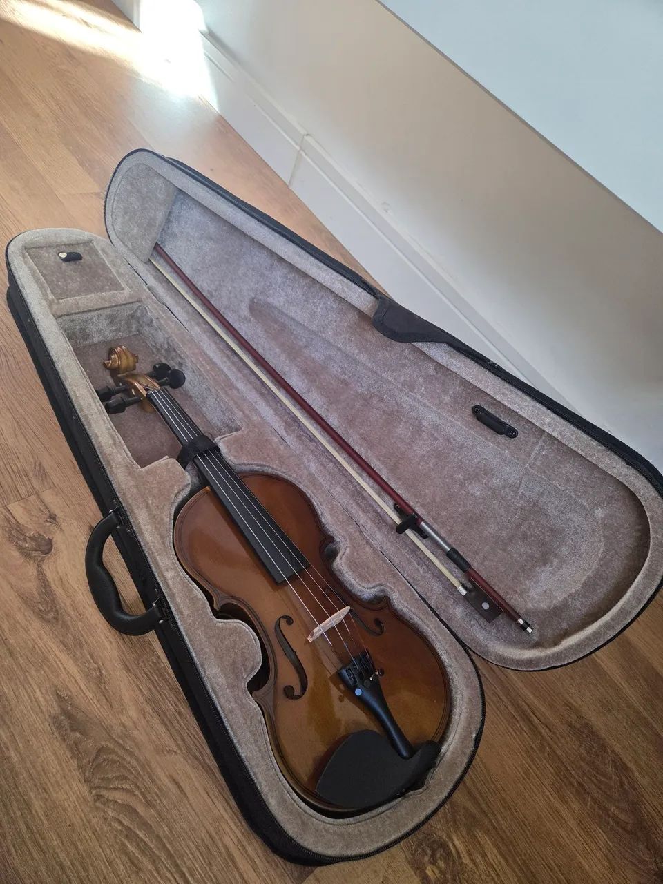 Violino