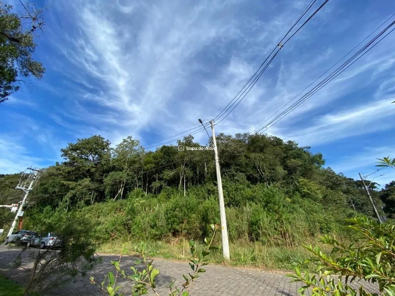 ÁREA A VENDA EM CANELA - Foto 4
