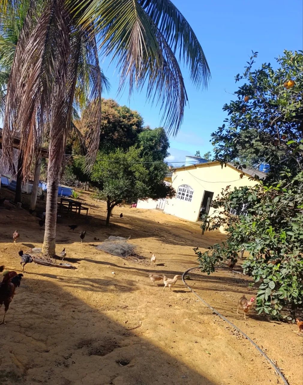 Chácara impecável 
