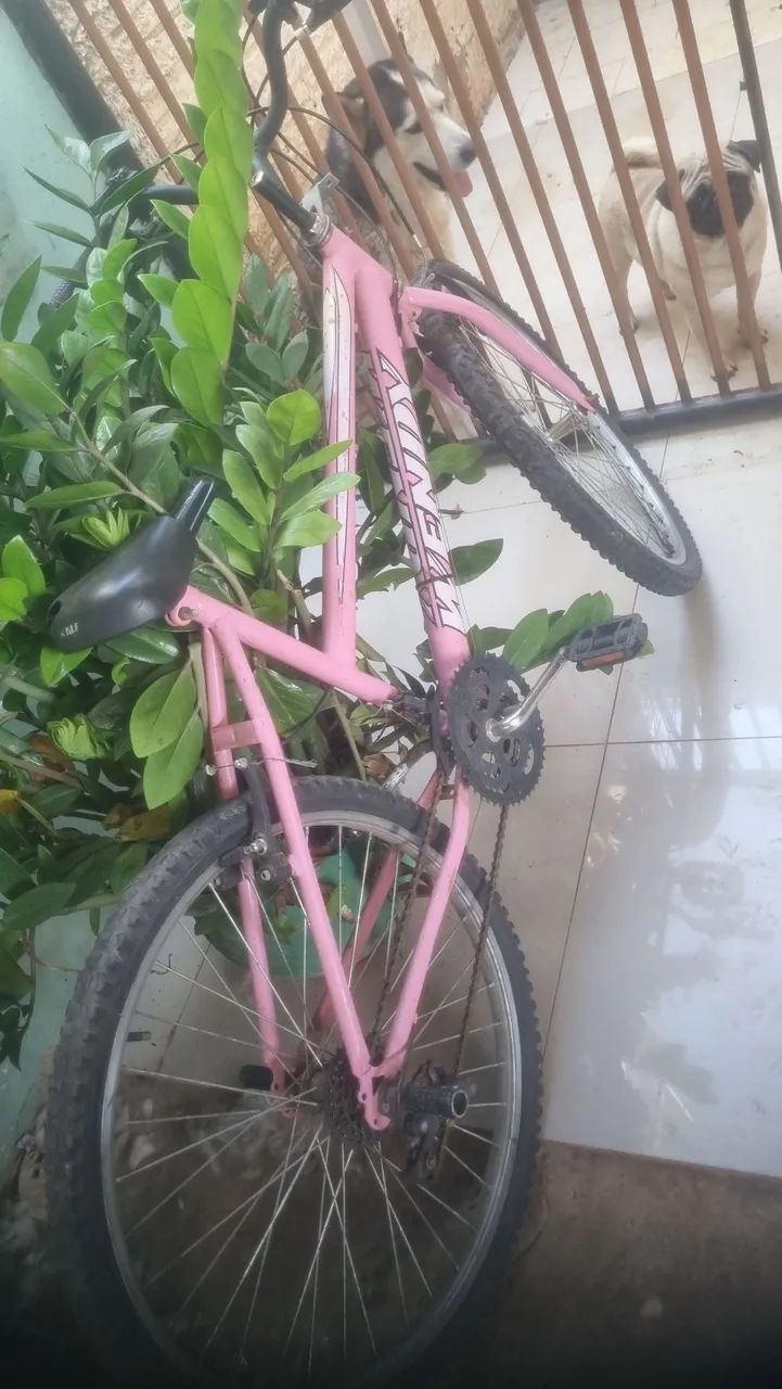 Vende -se Duas bicicletas... 300,00 cada - Foto 2