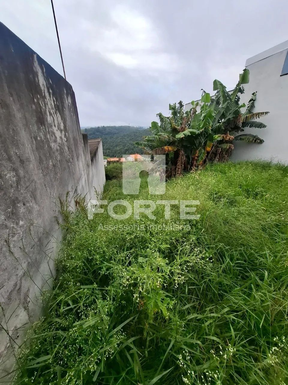 VENDO EXCELENTE TERRENO EM SANTA ISABEL - Foto 2