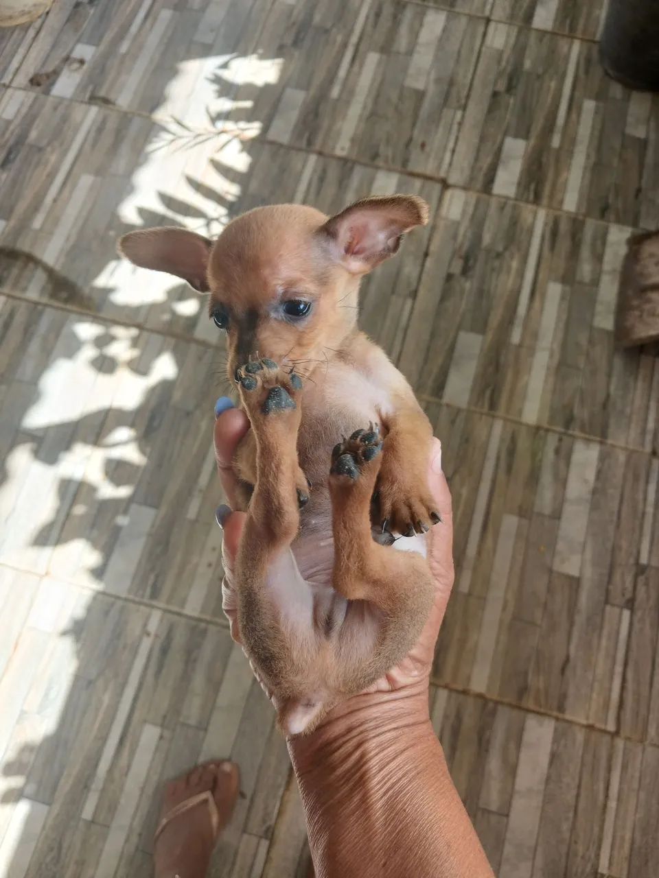 Vender se  - Foto 2